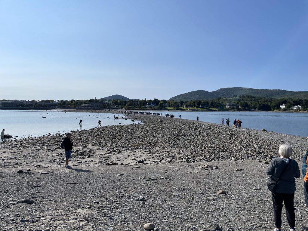 Image of Bar Harbor - Low Tide