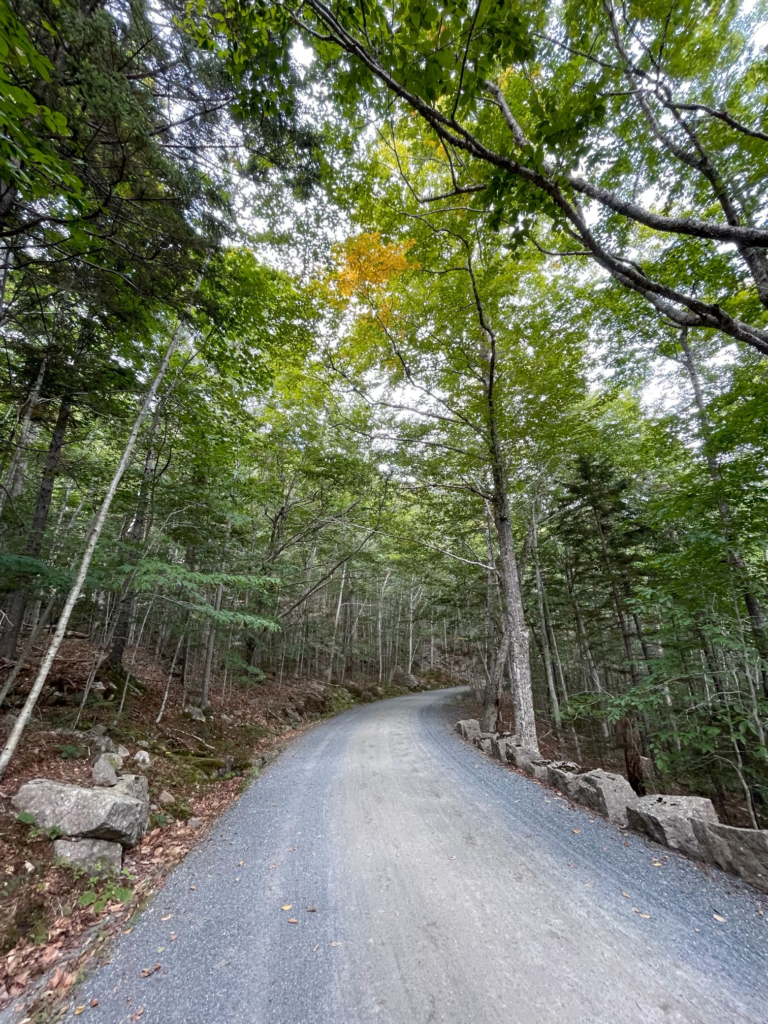 Image of Day Mt Summit - Acadia