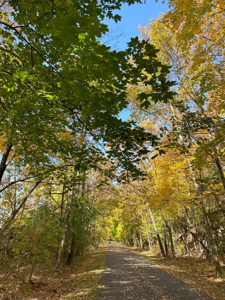 Image of Dutchess Rail Trail Fall Foliage