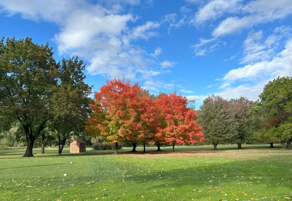 Image of Orchard Hills Fall Foliage