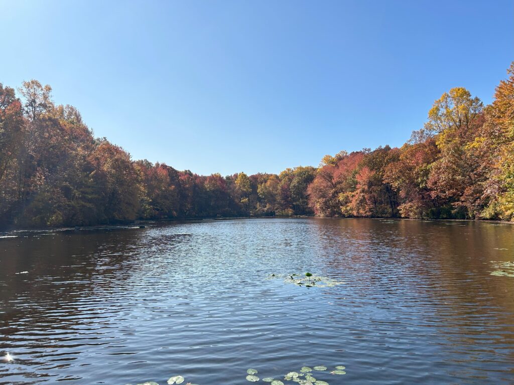 Image of Tenafly Nature Center full view