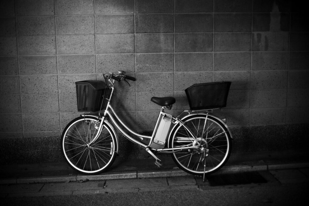 Image of leisure bike with baskets