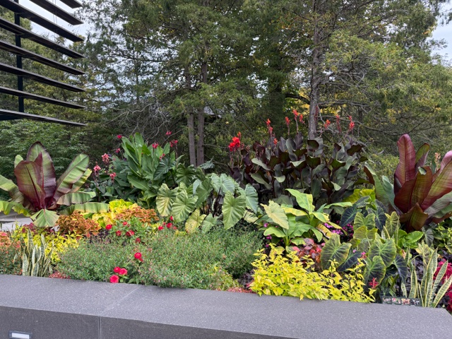 Image of Cornell Botanical Gardens