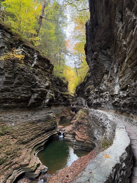 Image of Watkins Glen Chasm
